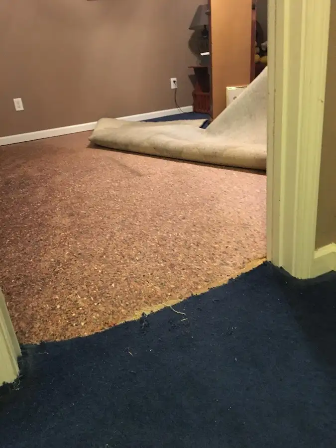 Carpet pad removal revealing water damage during Water Mitigation Services in Old Jamestown