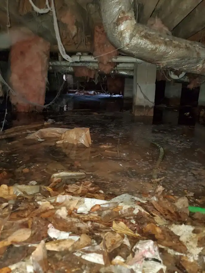 Crawl space flood assessment for Commercial Water Damage Restoration in Old Jamestown