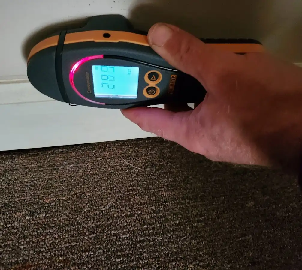 Moisture detection at baseboard during Mold Inspection & Testing in Old Jamestown